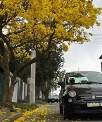 FIAT 500 1.4 CULT 8V FLEX 2P AUTOMATIZADO FIAT 500 1.4 CULT 8V FLEX 2P AUTOMATIZADO